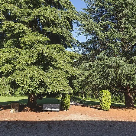 Ferienhaus Mansion In With Private Pool Meaulne